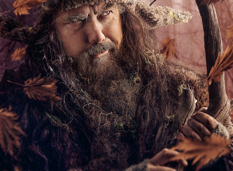 Radagast the Brown, Lord of the Rings