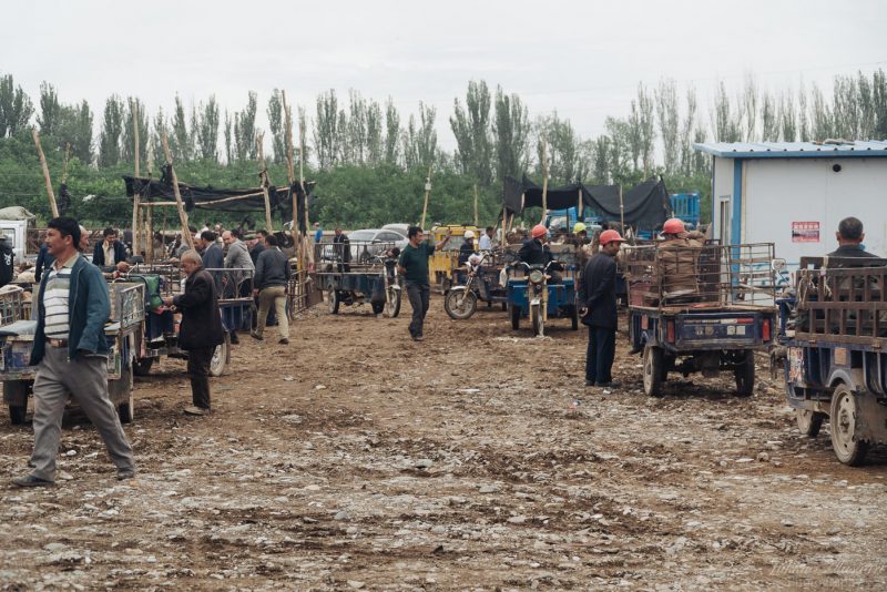 silk road china animal market