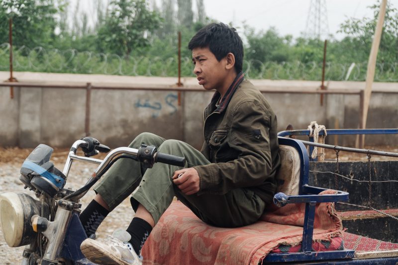silk road china animal market young boy