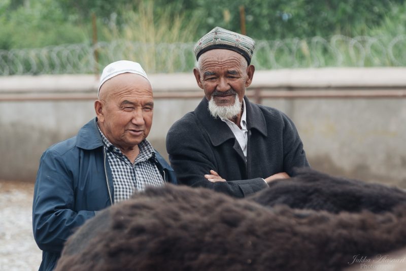 silk road china animal market
