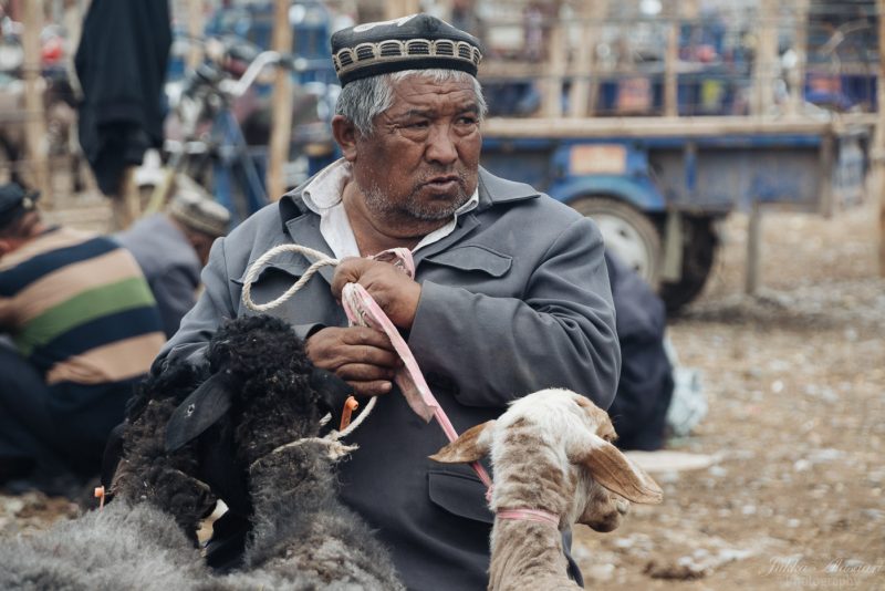 silk road china animal market man with his goats