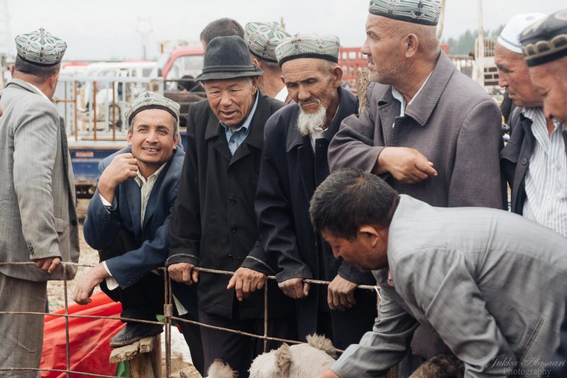 silk road china animal market