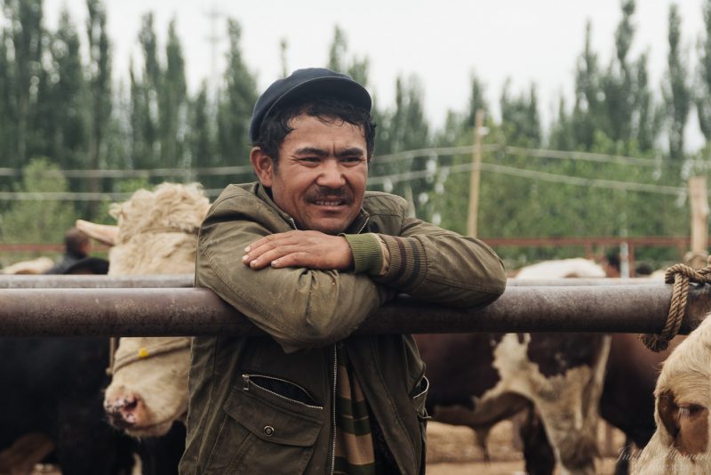silk road china animal market farmer